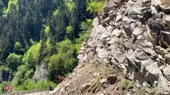 Giresun-Sivas Karayolunda Kayalar Temizleniyor