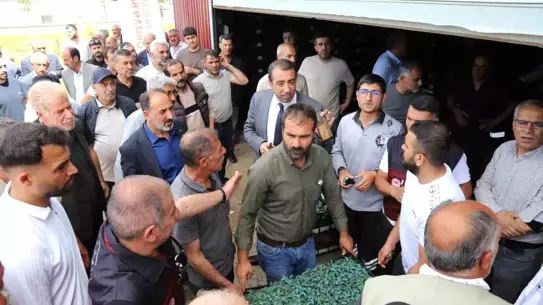 Bingöl'de 442 Bin Sebze Fidesi Dağıtıldı