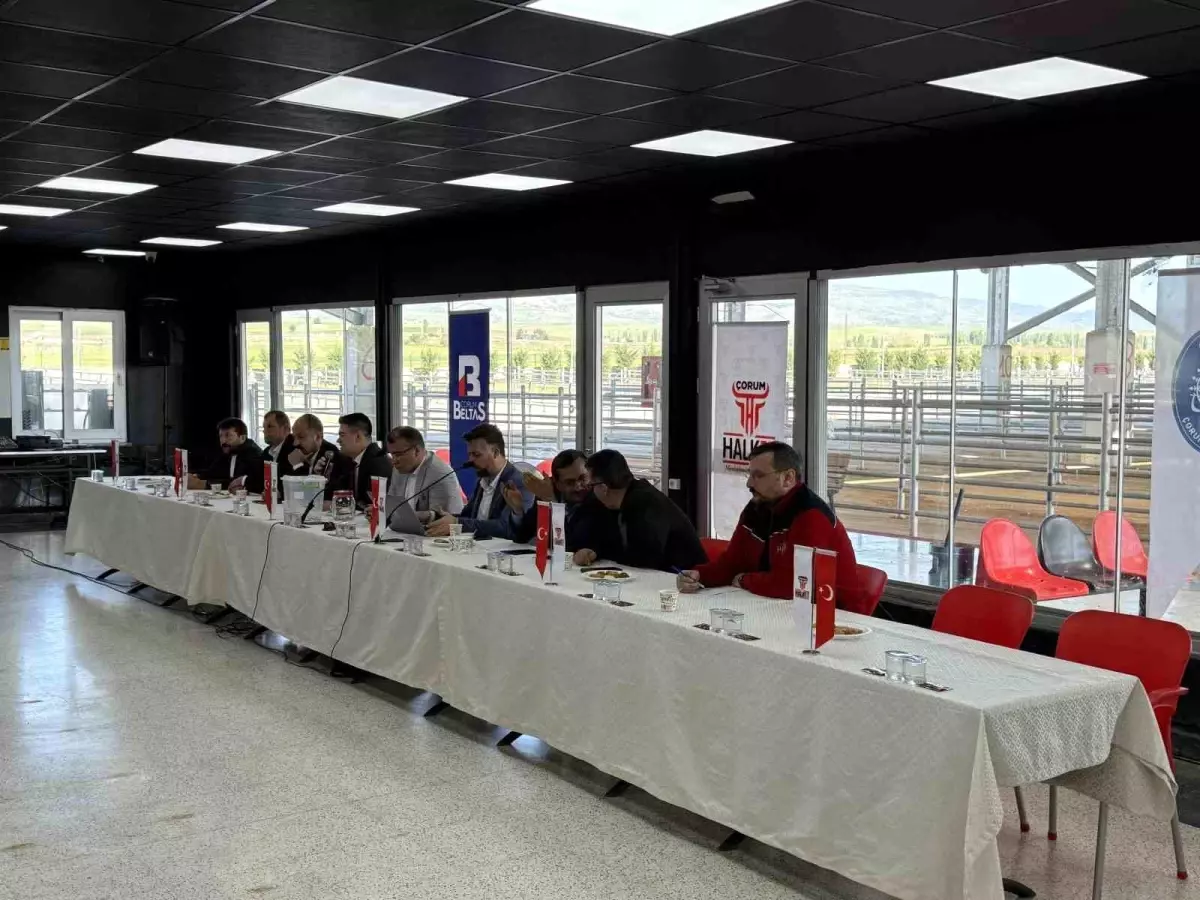 Çorum'da Kurban Bayramı İçin Hayvan Pazarı Kura Çekimi Yapıldı