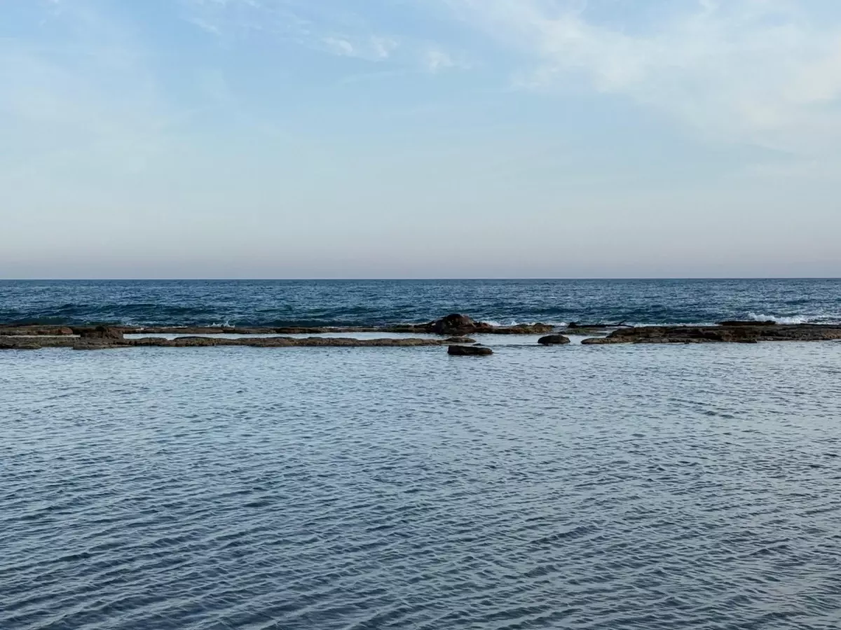 Antalya'da denizin ortasındaki inek leşi görenleri şoke etti