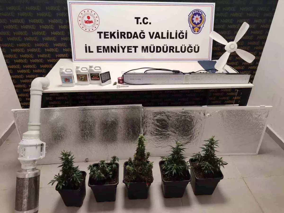 Tekirdağ'da Uyuşturucu Baskını