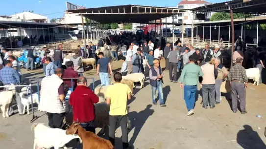 Havran'da Kurban Denetimleri Sürüyor