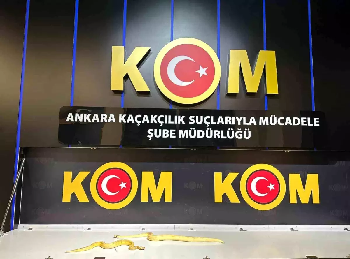 Yasak Hayvan Ticareti Operasyonu