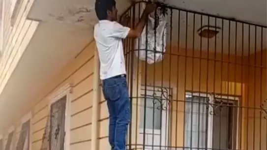 Arıcı Rahmi Mikyas'ın Cesur Oğul Toplama Anı