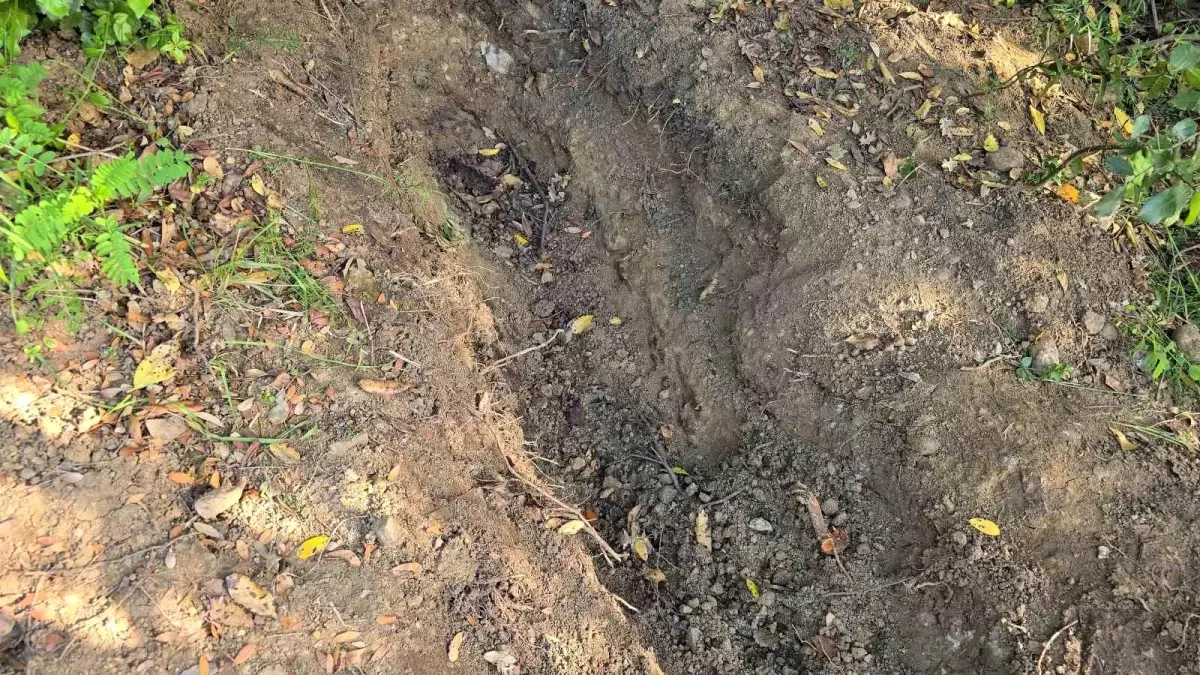 26 Yaşındaki Adamın Cesedi Bulundu