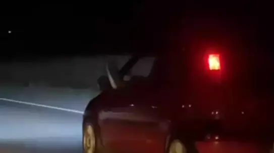 Bursa'da Sürücü Tehlikeli Yola Çıktı