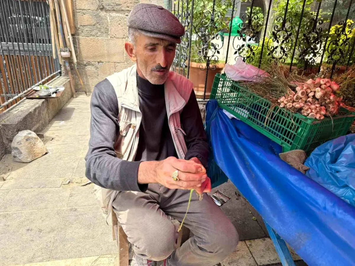 Uçkun Bitkisi: Doğanın Şifalı Kaynağı