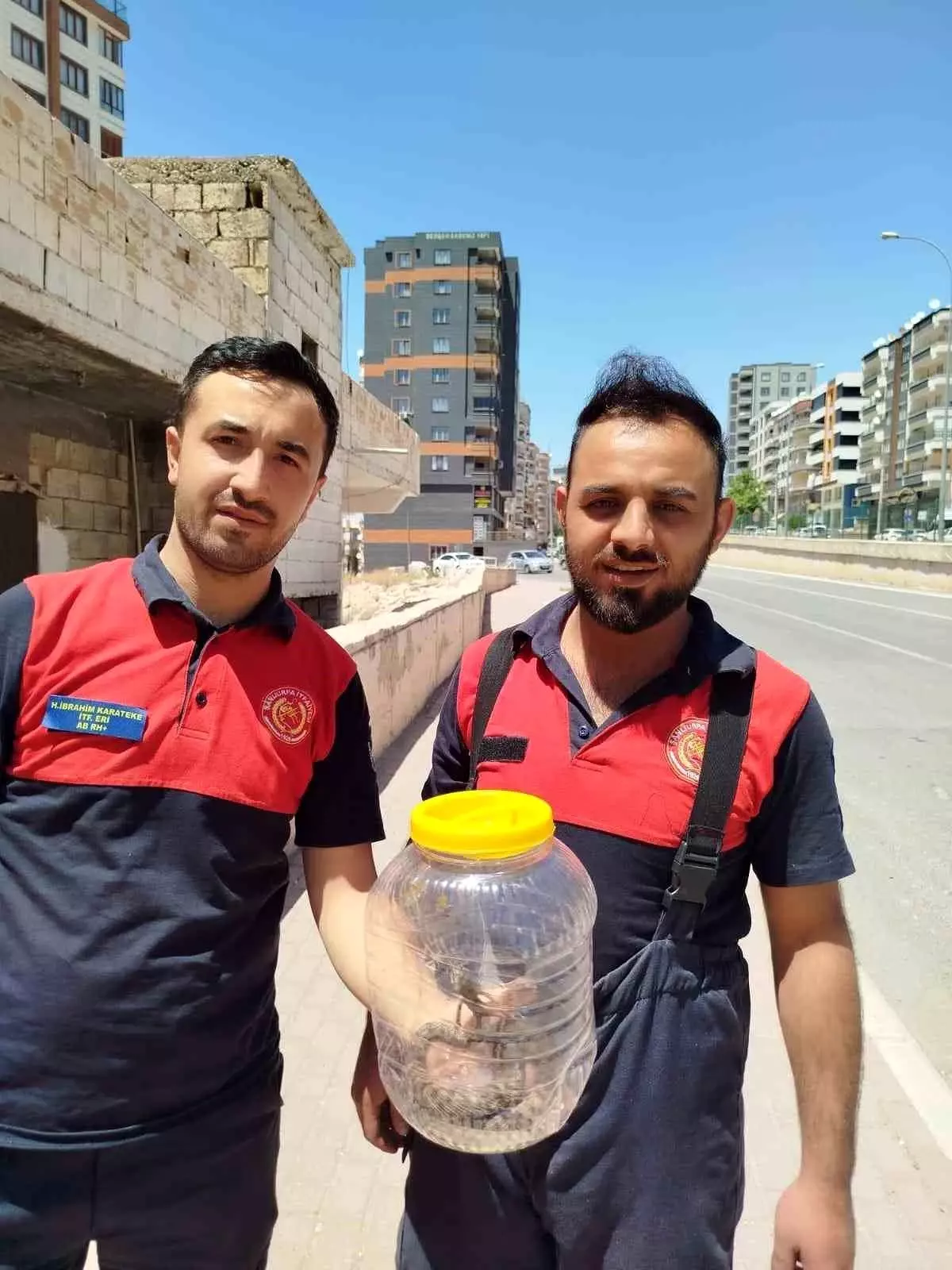 Şanlıurfa'da Mutfağında Yılan Bulunan Evde Paniğe Neden Oldu