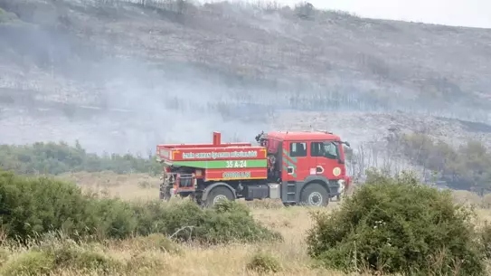 Foça ve Urla'daki Yangın Kontrol Altında