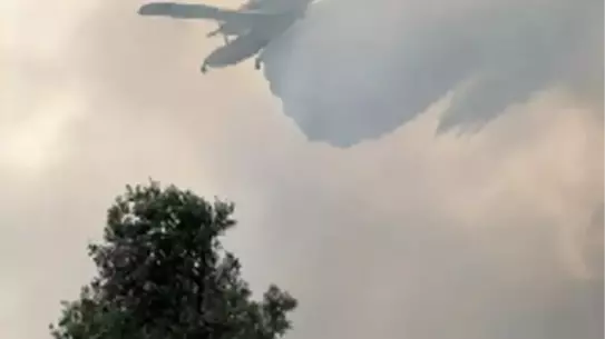 İzmir'de Zeytinlikte Yangın Kontrol Altına Alındı