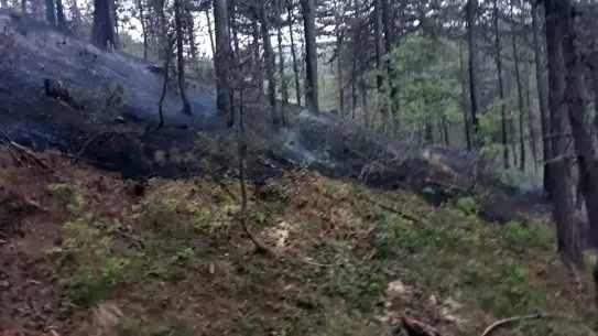Sinanpaşa'da Yangın: 20 Bin Metrekare Kül Oldu