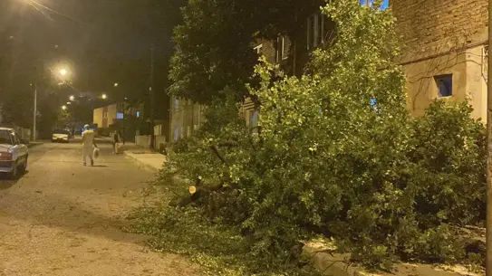 Karabük'te Fırtına Hasara Yol Açtı