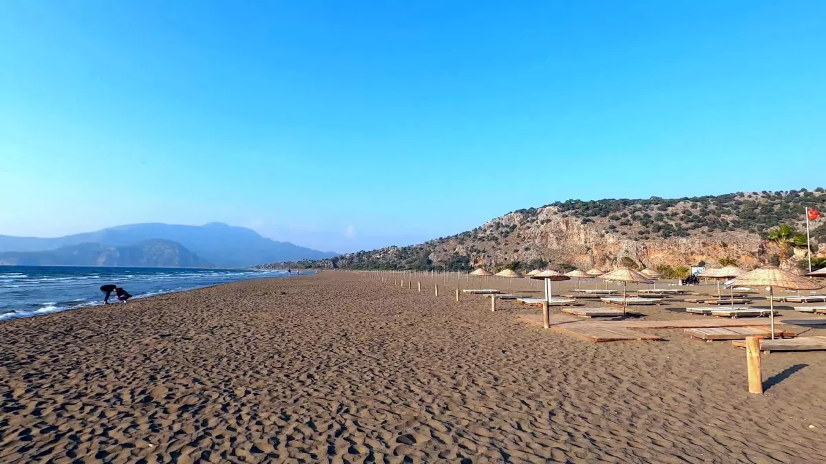 İztuzu'nda Caretta Yuvaları 100'e Ulaştı