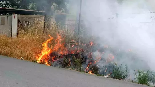 Burhaniye'de Korkutan Ot Yangını