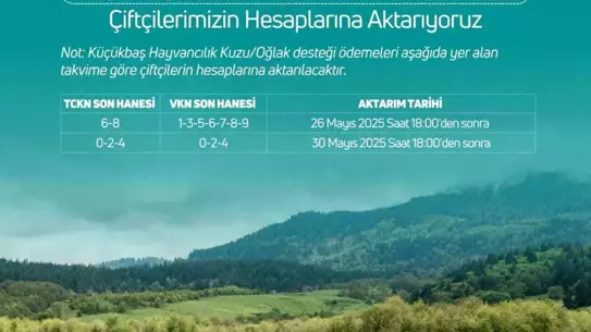 Küçükbaş Hayvancılığa 3.9 Milyar TL Destek