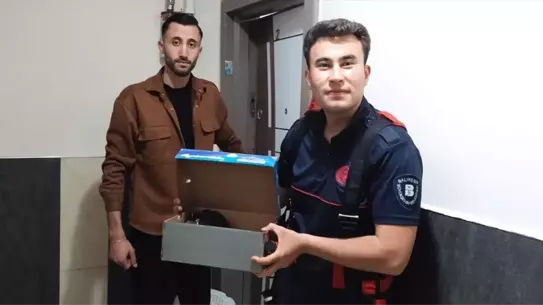 Edremit'te Karga Yavruları Kurtarıldı