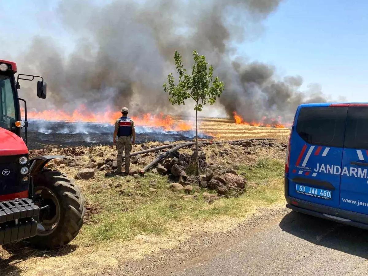 Şanlıurfa'da Anız Yakma Cezaları Artıyor