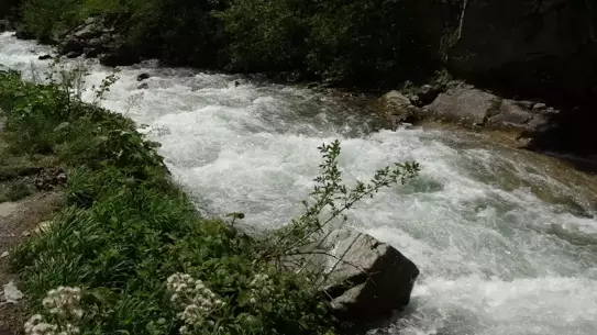 Uzungöl'de Kaybolan Çocuk İçin Arama Çalışmaları Sürüyor