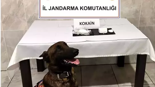 Yatağan'da Uyuşturucu Operasyonu: 290 Gram Kokain Ele Geçirildi