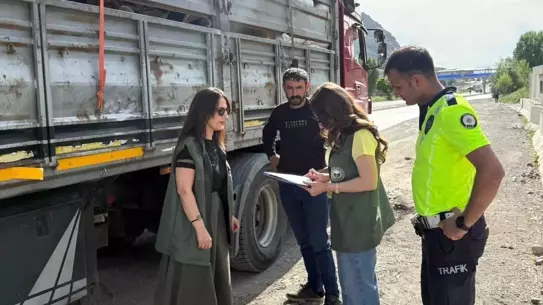 Tercan'da Kurbanlık Hayvan Denetimleri Artırıldı
