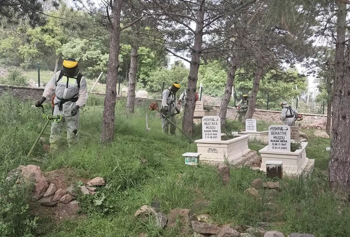 Güdül'de Mezarlık Temizliği