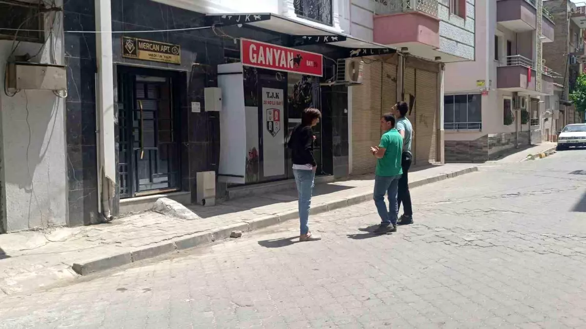 Kedi Katiline Mahalle Tepkisi
