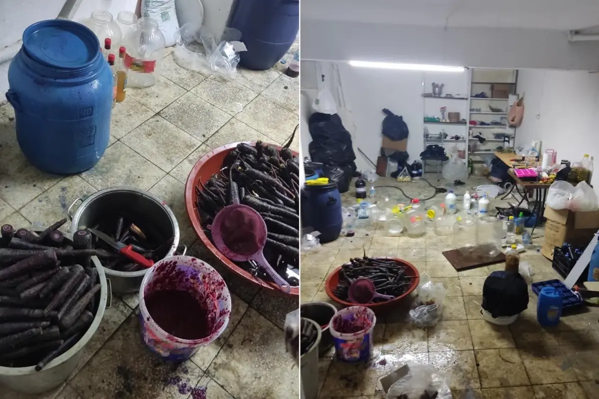 Alanya'da Sağlıksız Şalgam Üretimi Mühürlendi