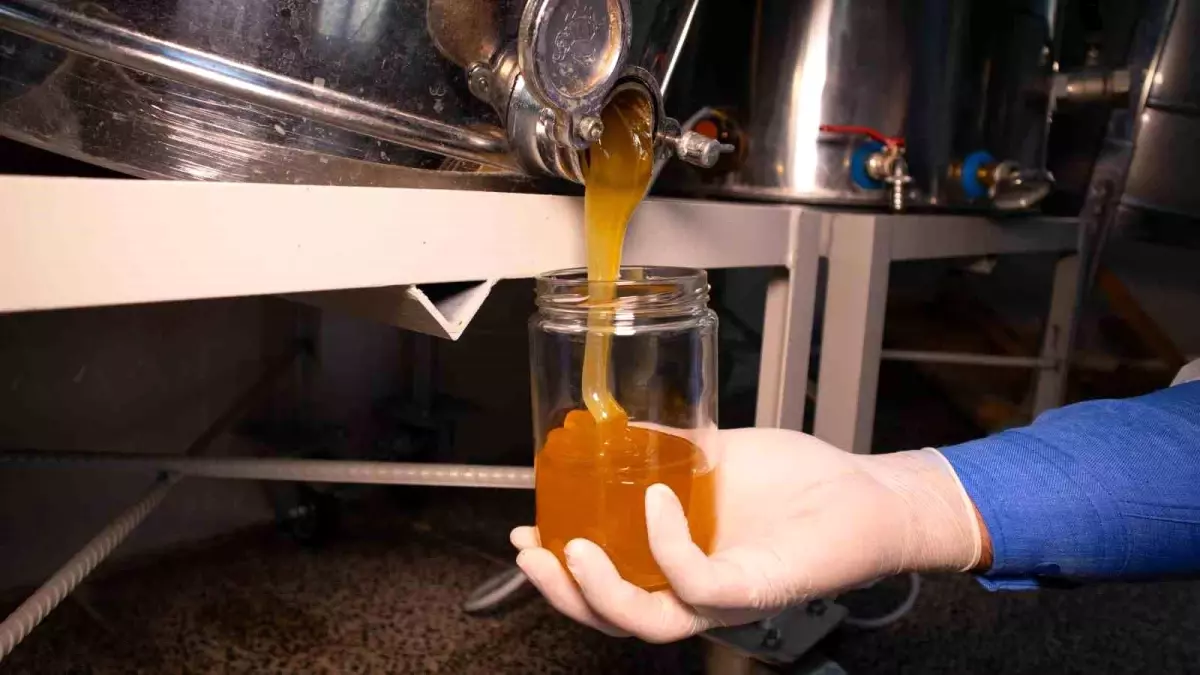 Ardahan'da Arı Ürünleri İçin Teknik Destek Anlaşması