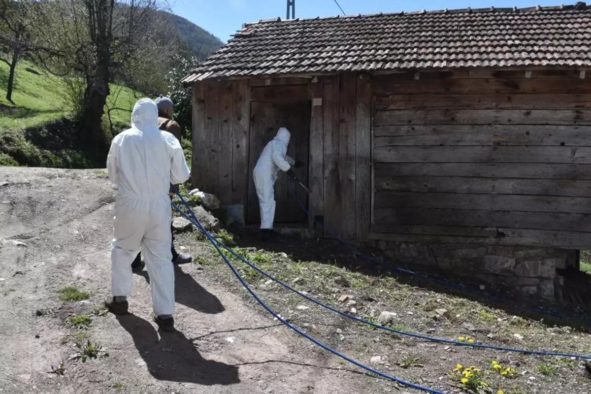 Bursa'da 3 mahallenin kabusu oldular! Yok etmek imkansız
