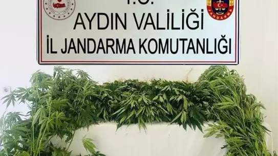 Aydın'da Uyuşturucu Mücadelesi: 17 Şüpheli Yakalandı