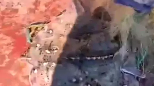 Kırklareli'nde Kaçak Ağa Geçit Yok