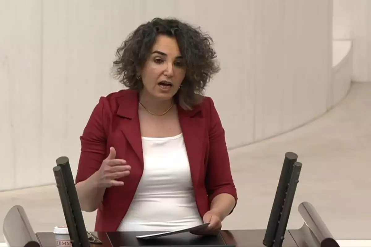 DEM Partili Çiçek Otlu'nun translarla ilgili önerisi büyük tartışma yarattı