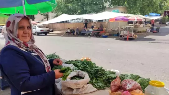 Asma Yaprağı ile Aile Ekonomisine Destek