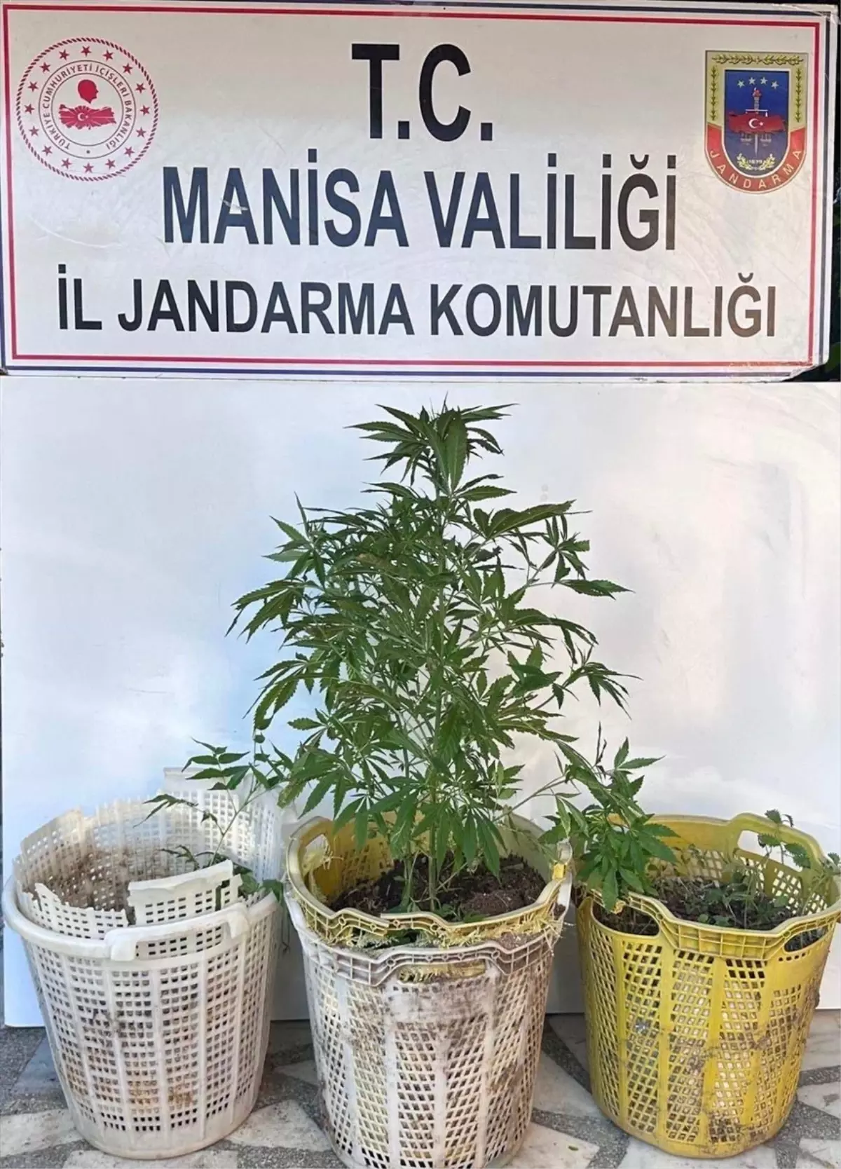 Sarıgöl'de Uyuşturucu Operasyonu