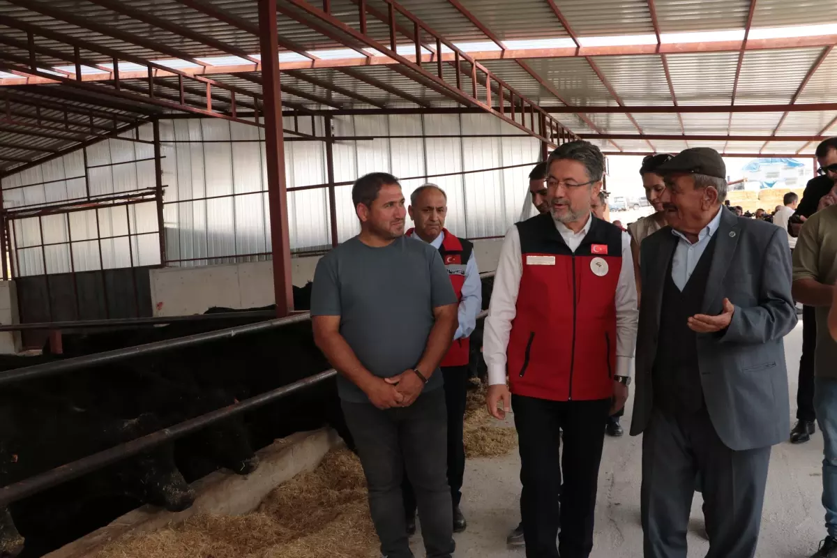 Tarım ve Orman Bakanı Yumaklı: 'Hak sahibi üreticilere hayvan başına aylık 1500 lira destek vereceğiz'