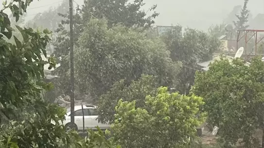 Kozan'da Şiddetli Yağış ve Rüzgar