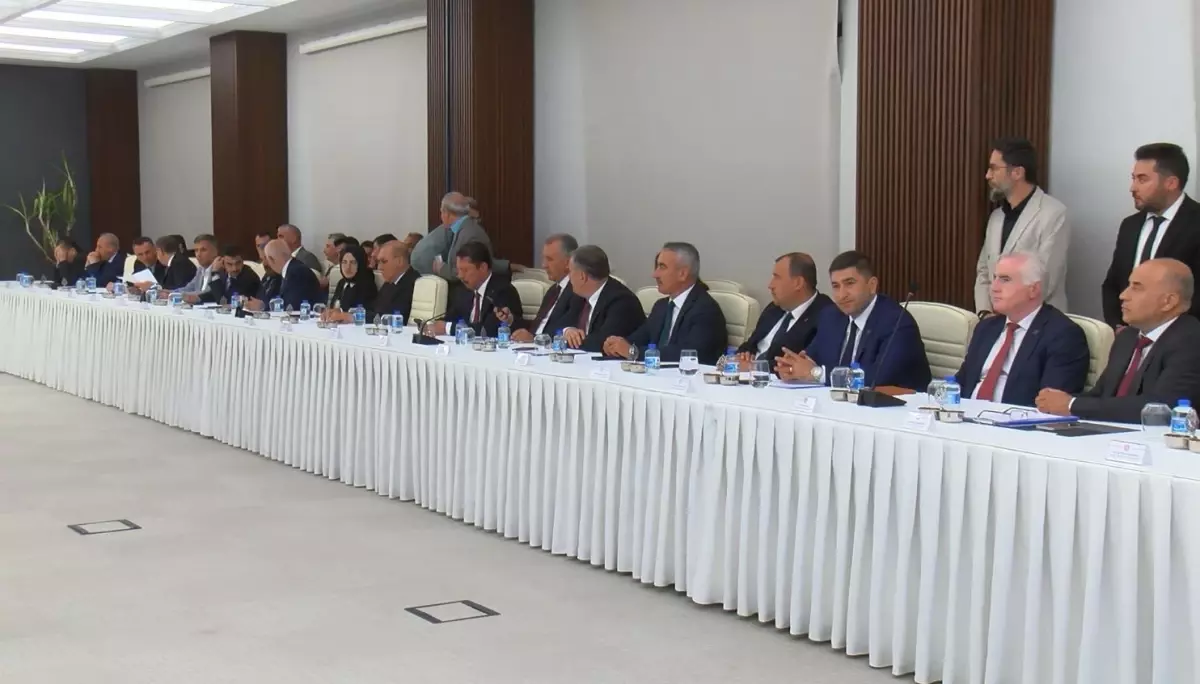 Ankara'da Sahipsiz Köpek Kayıtları