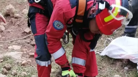 Dalaman'da Hayvan Kurtarma Operasyonları