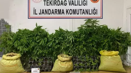Tekirdağ'da Uyuşturucu Operasyonu: 7 Gözaltı