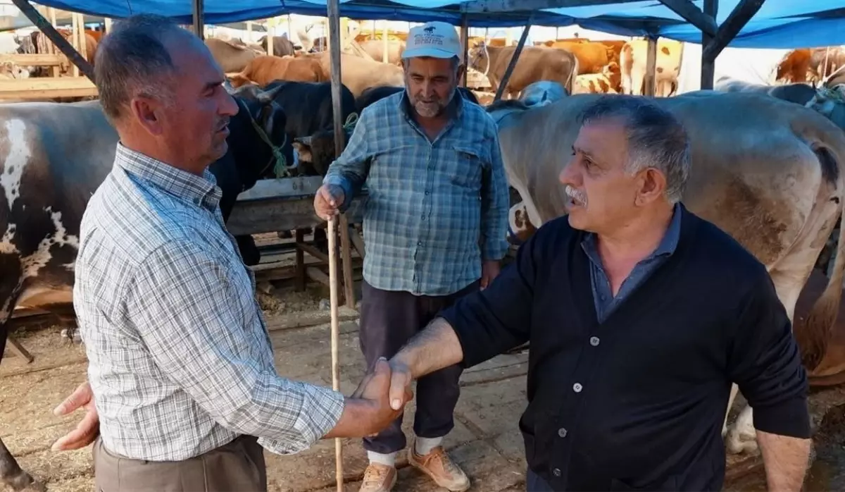 Rakamlar belli oldu! İşte kurban fiyatlarının en uygun olduğu 7 ilimiz