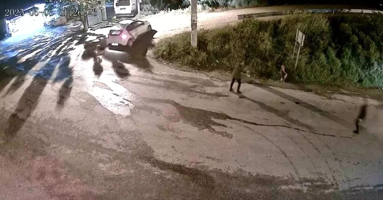 Aydın'da Silahlı Saldırı Anı Görüntüleri Ortaya Çıktı