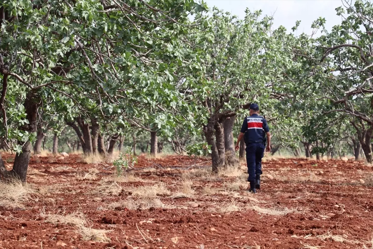 Gaziantep'te Kaybolan Otizmli Çocuk Aranıyor