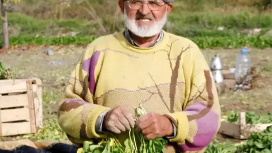 Tarım İşçilerine Yevmiye Ücreti 735 Lira