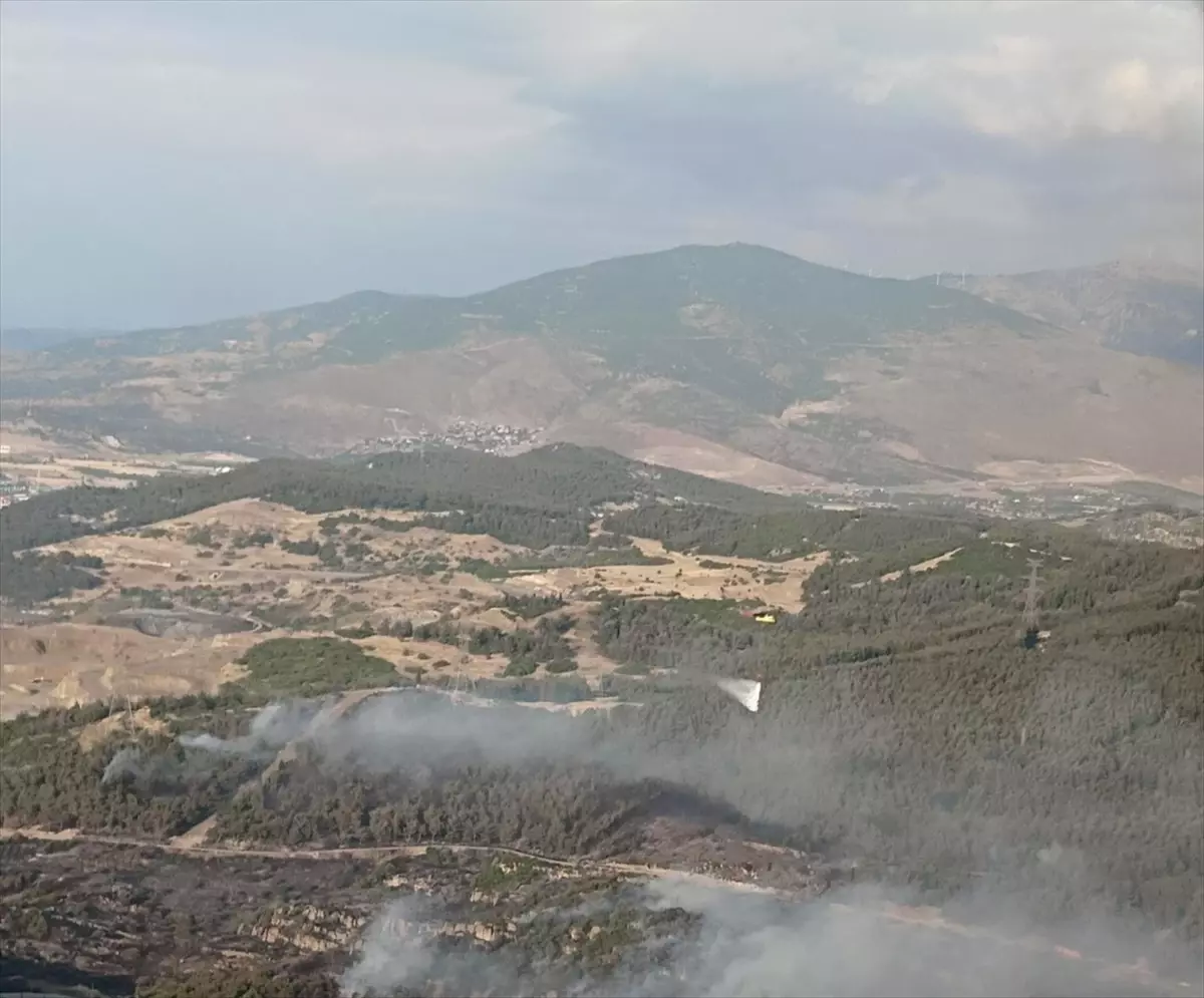 Aliağa'da Orman Yangınına Müdahale