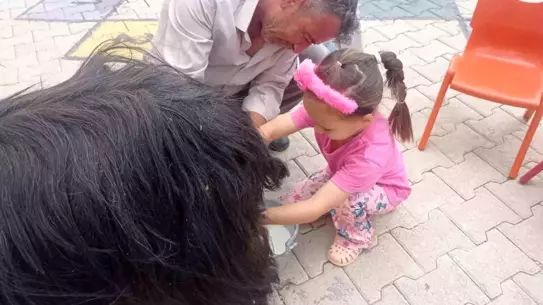 Şırnak'ta Dünya Süt Günü Etkinliği