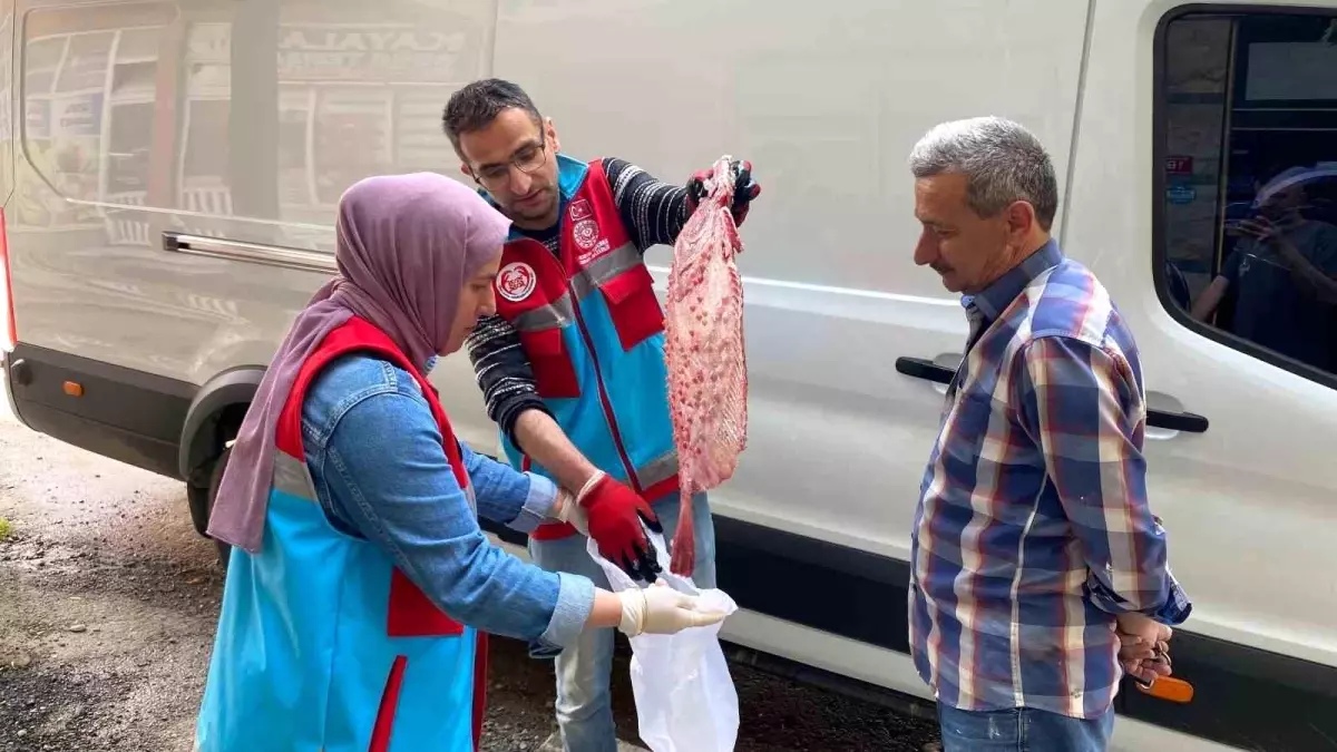 Kaçak Avcılık: 363 Kalkan Balığı Vatandaşa Dağıtıldı