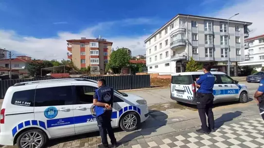 Dana Kadına Çarptı