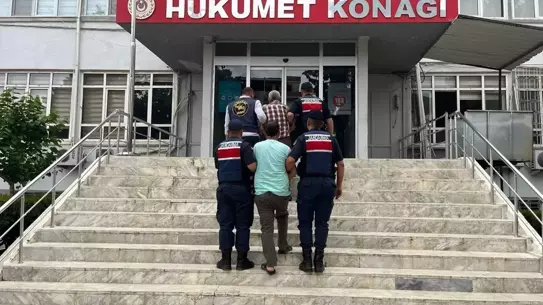 Gülnar'da Cinayet Soruşturması: 1 Tutuklu