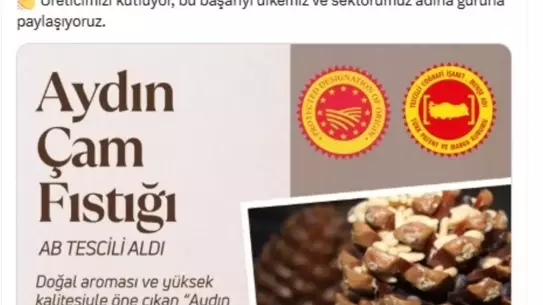 Aydın Çam Fıstığı AB'den Tescil Aldı