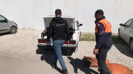 Van'da İnci Kefali Operasyonu